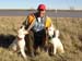 RRwDogs1